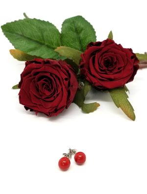 Boutons de rose