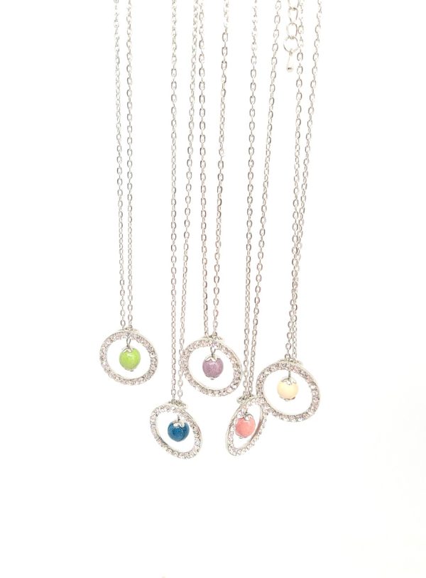 Cycle de vie – Image 2